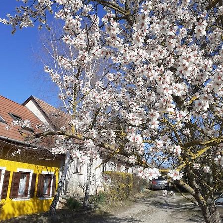 Villa Eva Vendeghaz Tata Exterior foto