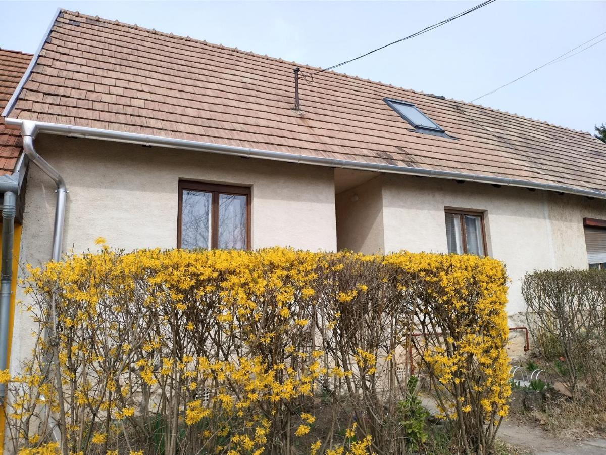 Villa Eva Vendeghaz Tata Exterior foto