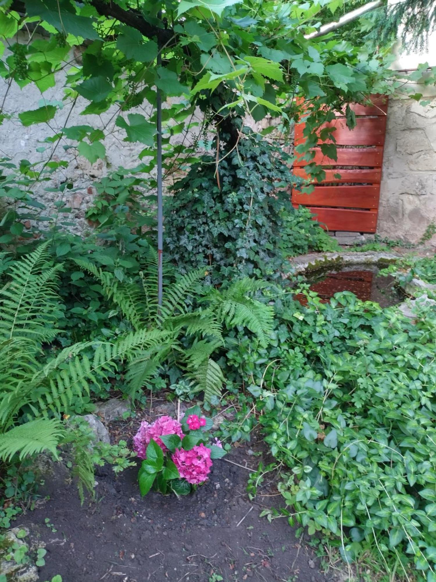 Villa Eva Vendeghaz Tata Exterior foto